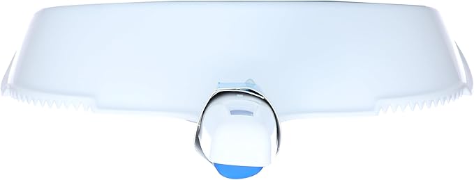 Mr. Clean Dust Pan and Brush Set