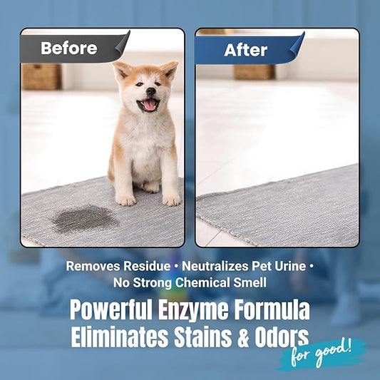 Carpet Cleaner and Deodorizer for Pets - Stain and Odor Treatment | Neutralizes Urine Stains and Eliminates Smell & Residue, Made in The USA - Biocelan Pet by Harvest and Home - 32 oz