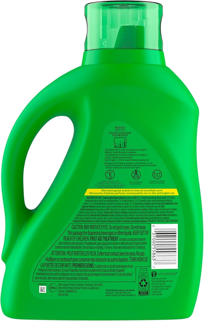 Gain Liquid Laundry Detergent, Original Scent, 65 fl oz x 2, 45 x 2 Loads, Freshness + Odor Fighting, High Efficiency Washing Machine Liquid Cleaning Soap