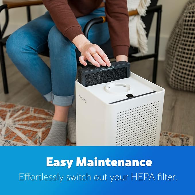 Kenmore KF250 1200e Series Air Purifier Replacement True HEPA Filter