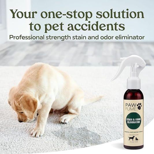 PAWFUME Stain & Pet Urine Odor Eliminator, 2-Pack – Removes Impurities in Seconds – Enzymatic Formula, Quick-Dry Action, & Eco-Friendly Ingredients – Upholstery, Fabrics, and Carpet Cleaner Spray