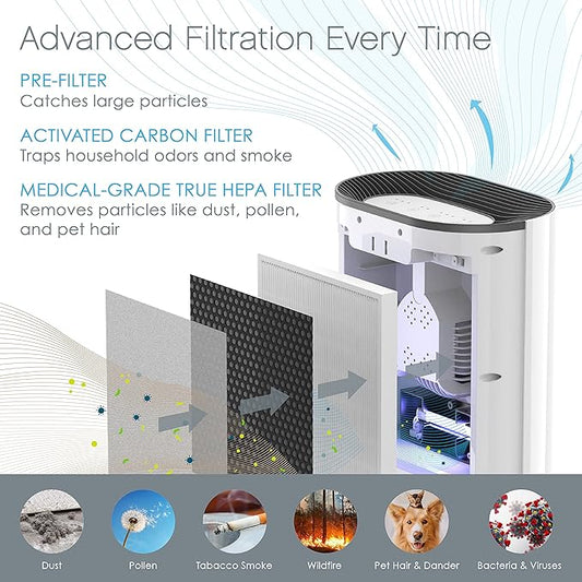 Pure Enrichment Genuine 3-in-1 True HEPA Replacement Filter for the PureZone Air Purifier (PEAIRPLG) - 2 Pack