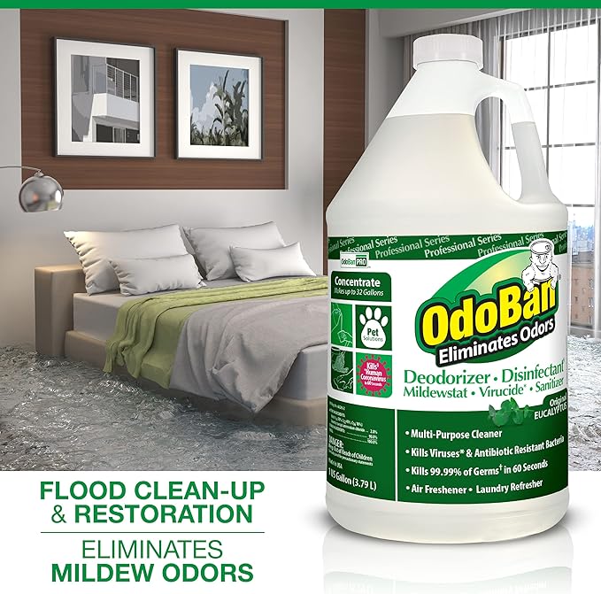 OdoBan Professional Disinfectant and Odor Eliminator Concentrate, Made in the USA, Original Eucalyptus Scent, 4-Pack, 1 Gallon Each