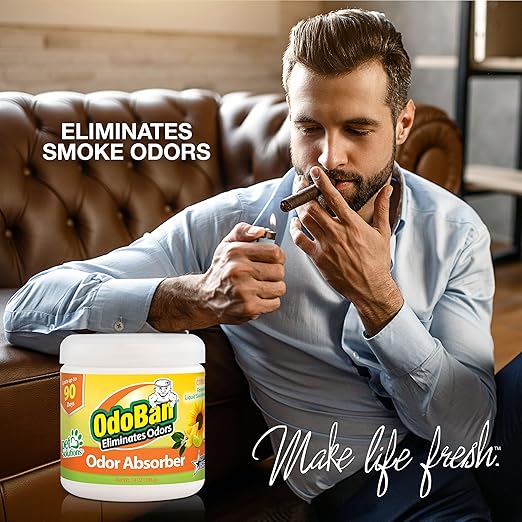 OdoBan Aroma Eliminator Set, Made in the USA, 10 Ounce Toilet Spray 360-Degree Continuous Spray Natural Oil Real Citrus Orange Air Freshener and 14 Ounce Solid Scent Absorber