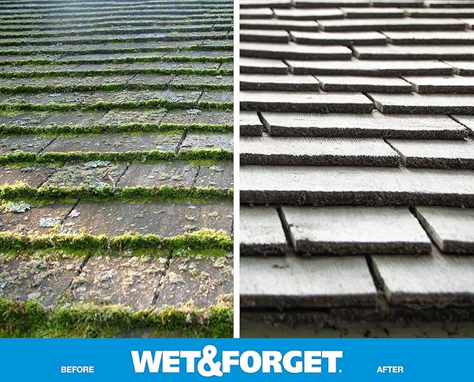Wet & Forget Moss, Mold, Mildew, & Algae Stain Remover Multi-Surface Outdoor Cleaner Concentrate, Original, 128 Fluid Ounces