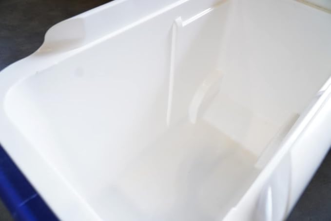 Marine 31 Mildew Stain Remover & Cleaner - Marine & Boat, Home & Patio, Bathroom & Shower Cleaner (16oz & 2 Gallon Combo)
