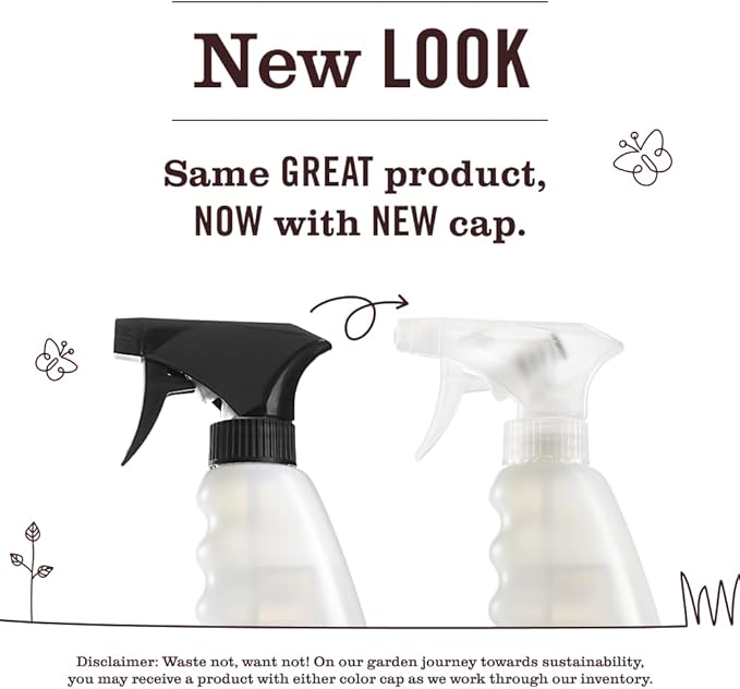 Mrs. MEYER'S CLEAN DAY Kitchen Set, Dish Soap, Hand Soap, Multi-Surface Cleaner, 3 CT (Rain Water)