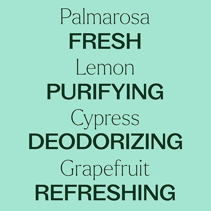 Plant Therapy Deodorizing Powder 16 oz, Odor Eliminator, Carpet Deodorizer, Multi-Use for Deep-Cleaning & Everyday Household Freshness, Powered by Pure Essential Oils