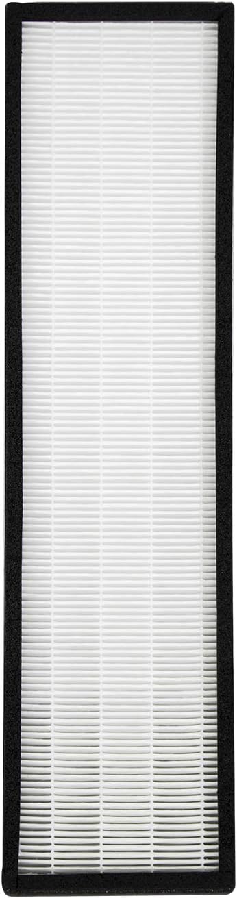 Hunter F1701HE, 30613 True HEPA Replacement Air Purifier Filter for Models HT1701, 30100