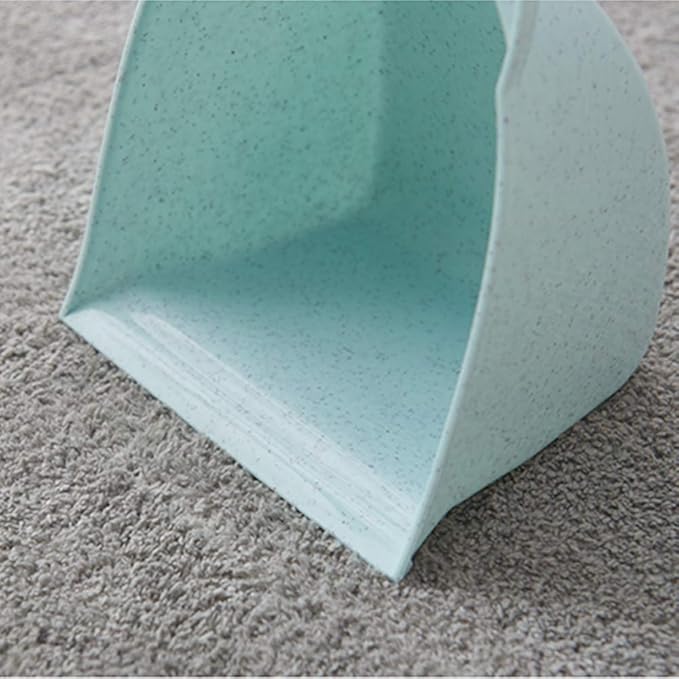 Mini Broom with Dustpan for Kids,Little Housekeeping Helper Set (Blue)