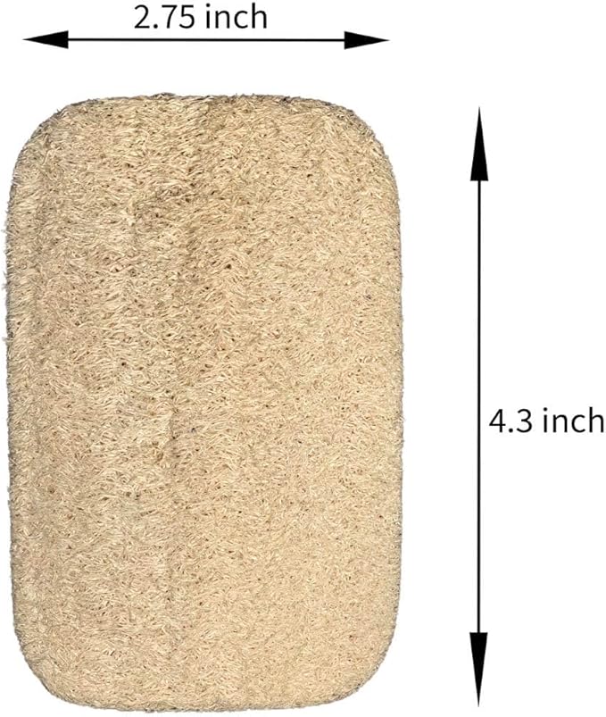 Natural Loofah Dish Sponge 10 Pack – Eco Friendly Biodegradable Kitchen Scrubber for Dishes, Pots & Pans