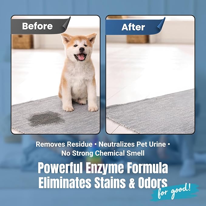 Carpet Cleaner and Deodorizer for Pets - Stain and Odor Treatment | Neutralizes Urine Stains and Eliminates Smell & Residue, Made in The USA - Biocelan Pet by Harvest and Home - 32 oz