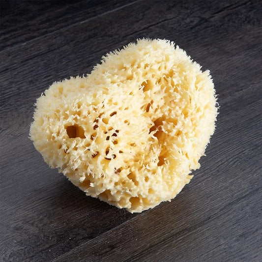 Renewable Sea Wool Sponge, Hand Cut, Large, Approx. 6-7"