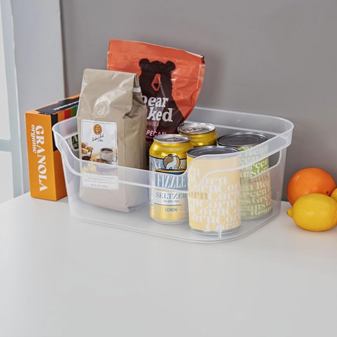 STERILITE 5.25 in. X 9.5 in. X 13 Clear Plastic Cube Storage BIN W/Carry Handles, 16
