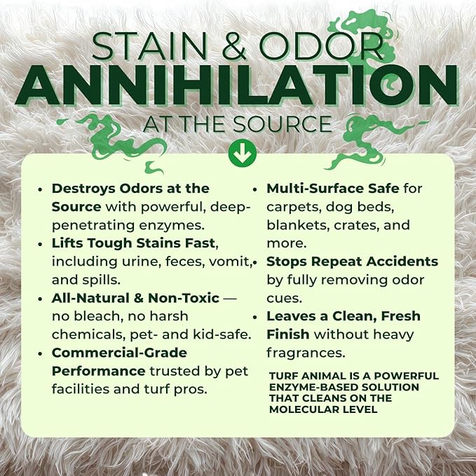 Turf Animal INDOOR Extra Strength Stain & Odor Remover for Strong Odors and Stubborn Stains – Natural Enzyme Odor Eliminator for Carpet & Indoor Surfaces – Enzymatic Dog Urine Destroyer, 1 Quart