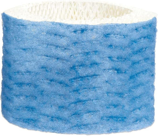 Honeywell C Replacement Filter, White- Pack of 2