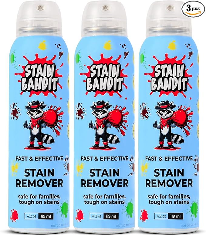 Stain Remover Spray - Non-Toxic, Family Safe Formula - Bag-On-Valve 360 Continuous Spray - Powerful Natural Cleaner for Clothes, Upholstery, Carpet, Car Seats & More - 4.2 oz (Pack of 3)