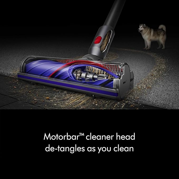 Dyson V8 Plus Cordless Vacuum, Silver/Nickel (Renewed)