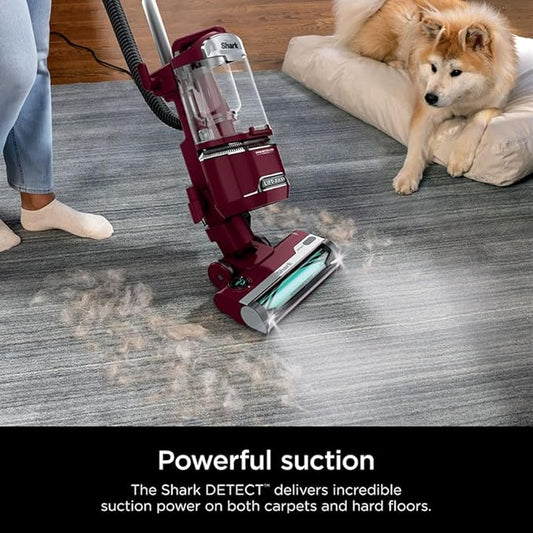 Shark DETECT Lift-Away Corded Upright Vacuum with Detect Technology, Self-Cleaning Brushroll for No Hair Wrap, Anti-Allergen Complete Seal, and Odor Neutralizer Technology, Burgundy, LA492