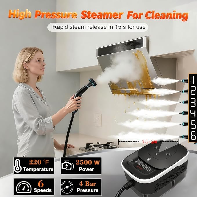 High Pressure Steam Cleaner Portable, 42oz Water Tank, 20s Fast Heat, 6 Settings & 4 Bar, Multi-Surface for Kitchen Floor Window Car Toilet, Home Use (Black)