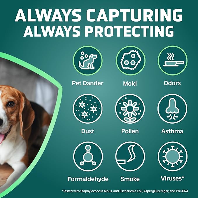 GermGuardian Pet Pure HEPA Genuine Air Purifier Filter B, Removes 99.97% of Pollutants for AC4825, AC4820, AC4850, AC4870, CDAP4500, AC4900, AC4300, AP2200, 2- Pack, Black/Purple, FLT4850PT2PK