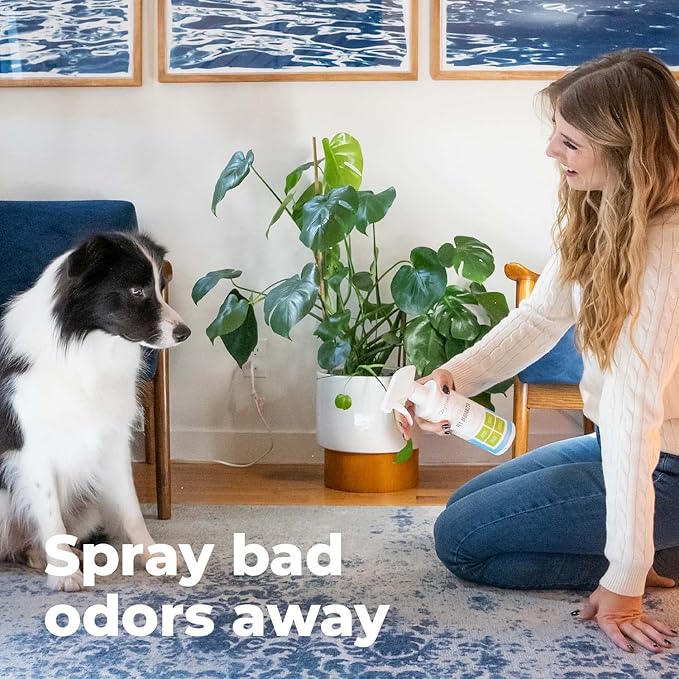 Oxyfresh Extra Strength Pet Urine Odor Eliminator for Home Spray - Goodbye to Stinky Odors - No Fragrance, No Harsh Chemicals - Works on Contact - Upholstery & Auto - Safe & Pet Parents Love It