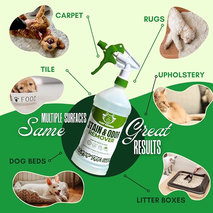 Turf Animal INDOOR Extra Strength Stain & Odor Remover for Strong Odors and Stubborn Stains – Natural Enzyme Odor Eliminator for Carpet & Indoor Surfaces – Enzymatic Dog Urine Destroyer, 1 Quart