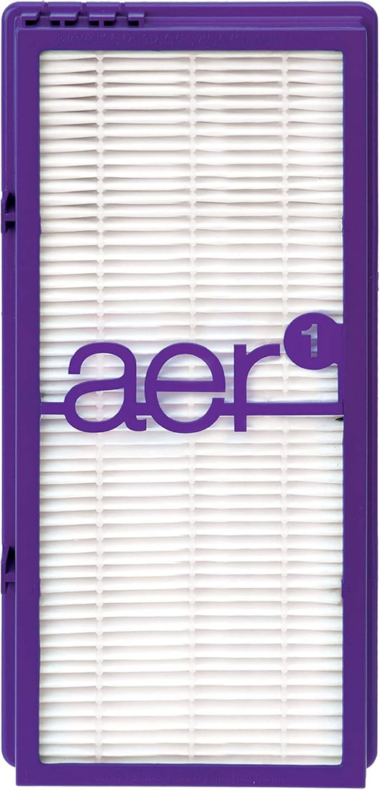 Holmes AER1 True HEPA Performance Plus Filter, HAPF300AP-U4
