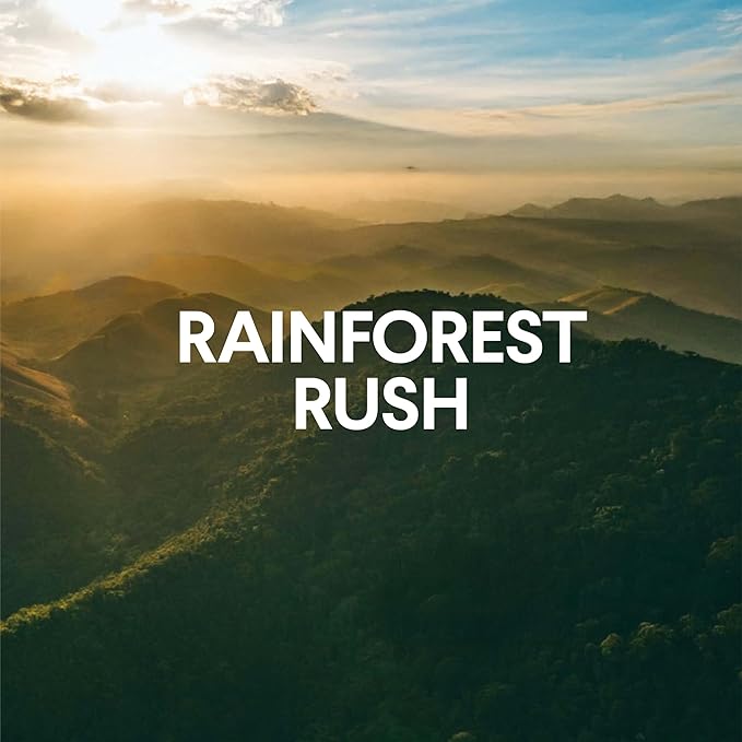 Clorox ToiletWand Toilet Cleaner Refills, Toilet brush, Rainforest Rush, 20 Count