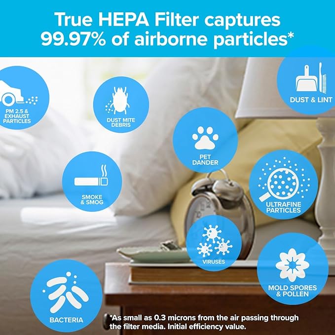 Filtrete F2 Room Air Purifier Filter, True HEPA Premium Allergen, Bacteria, and Virus, 13 in. x 8.2 in., 2-Pack, works with devices: FAP-C02, FAP-C03, FAP-SC02, and FAP-T03