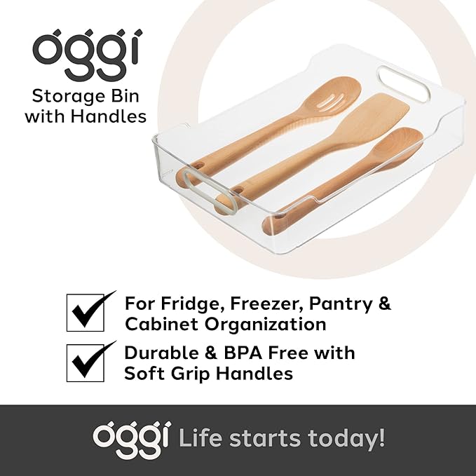 Oggi Cabinet / Drawer Storage Bin (14" x 9.75" x 2.75") (Pack of 2)