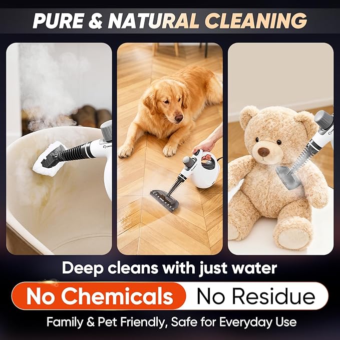 Steam Disinfection Cleaner, Handheld Pressurized Natural Steam Cleaner with 9 PCS Accessories, Portable Multi-Surface Steamer for Cleaning Home Kitchen Floor, Upholstery, Tile Grout & Car