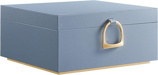 SONGMICS 2-Layer Jewelry Box, Jewelry Organizer with Handle, Removable Jewelry Tray, Jewelry Storage, Floating Effect, 8.1 x 9.4 x 4.3 Inches, Gift Idea, Misty Blue UJBC165Q01