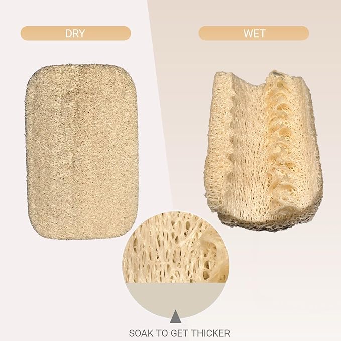 Natural Loofah Dish Sponge 10 Pack – Eco Friendly Biodegradable Kitchen Scrubber for Dishes, Pots & Pans
