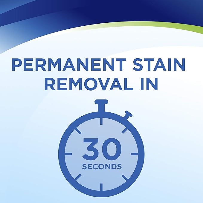 Bissell Woolite InstaClean Pet Full Size Machine Formula, 32 oz, 20581