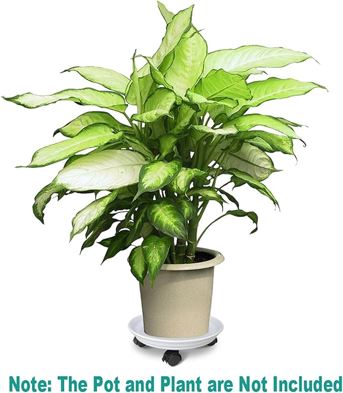 Plant Stand Rolling Caddy with Wheels, Movable Flower Plant Pot Pallet, Indoor Outdoor Planter Tray Dolly, White