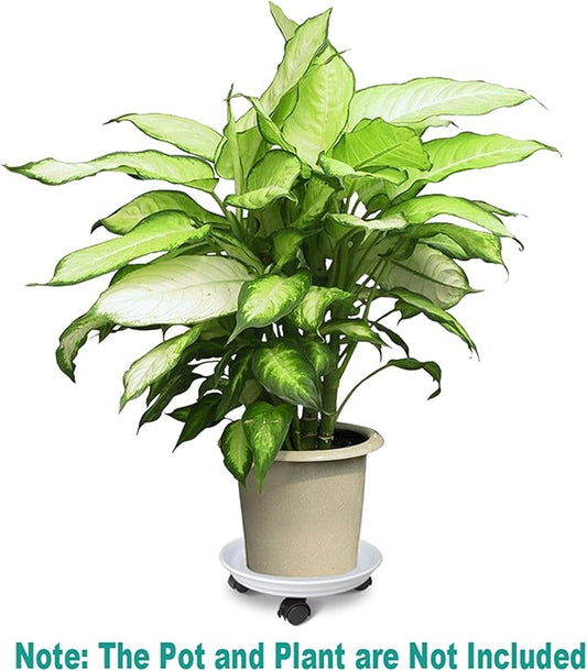 Plant Stand Rolling Caddy with Wheels, Movable Flower Plant Pot Pallet, Indoor Outdoor Planter Tray Dolly, White