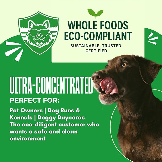 Turf Animal INDOOR Extra Strength Stain & Odor Remover for Strong Odors and Stubborn Stains – Natural Enzyme Odor Eliminator for Carpet & Indoor Surfaces – Enzymatic Dog Urine Destroyer, 1 Quart