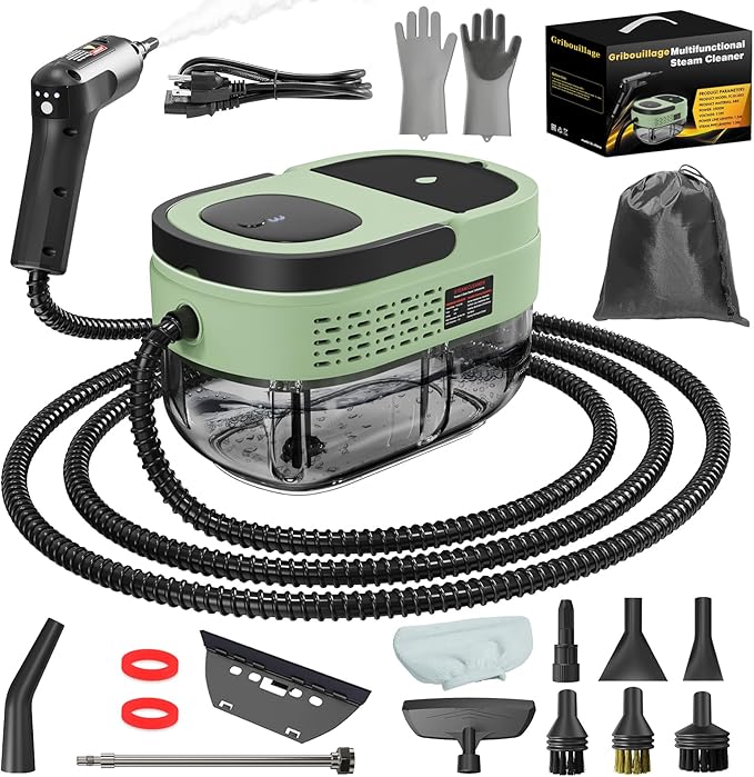 Handheld Steam Cleaner for Home, 2500W High Temperature Pressurized Machine, 1.6L Water Tank, Handle-controlled Steam Output, Portable Cleaning Steamer for Car, Bed Bugs, Furniture (Green, 16 PCS)