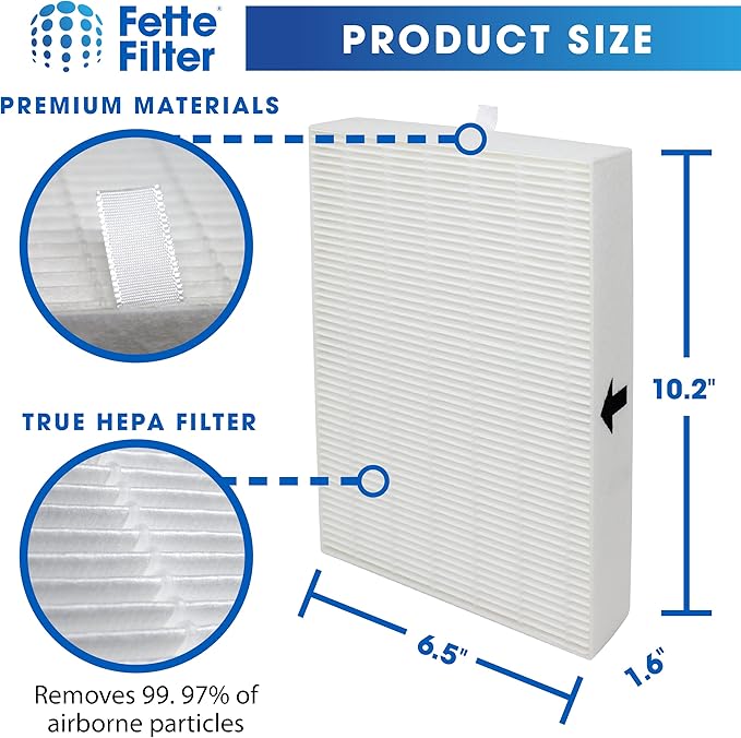 Fette Filter Air Purifier Filters. Compatible with HRF-R2, HRF-R3, Filter R (HRF-R2, 2-Pack)
