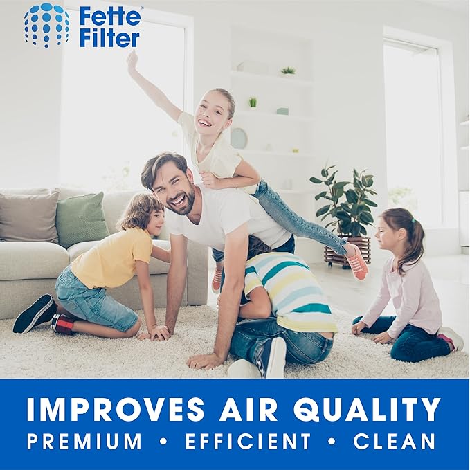 Fette Filter - Filter Compatible with BISSELL MYair Pro Hub and Plus Air Purifier Replacement HEPA and Carbon Filter Part # 3069 and 3389 - Pack of 1