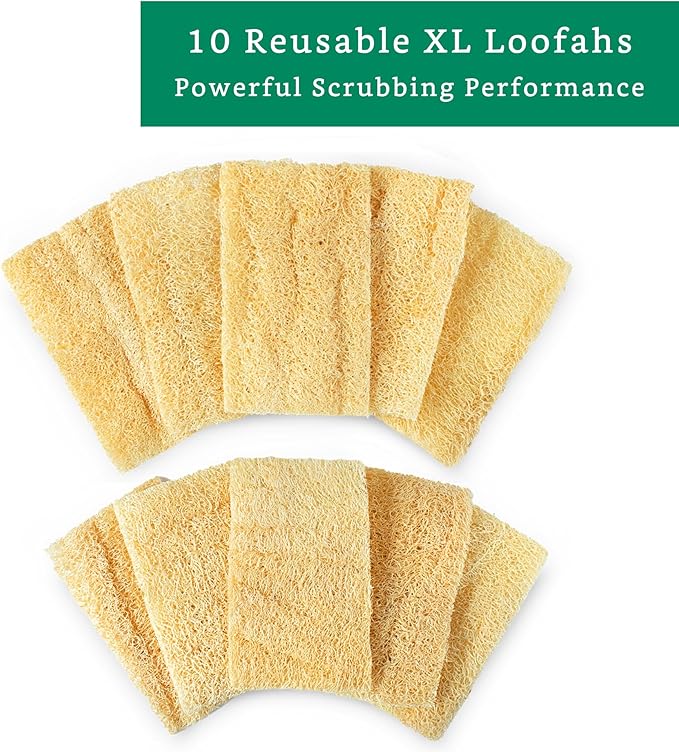Natural Loofah Kitchen Sponge (XL - 10 Pack) - Natural Sponges for Dishes - Eco Friendly and Compostable Sponges - Plant Based Kitchen Dish Biodegradable Sponge