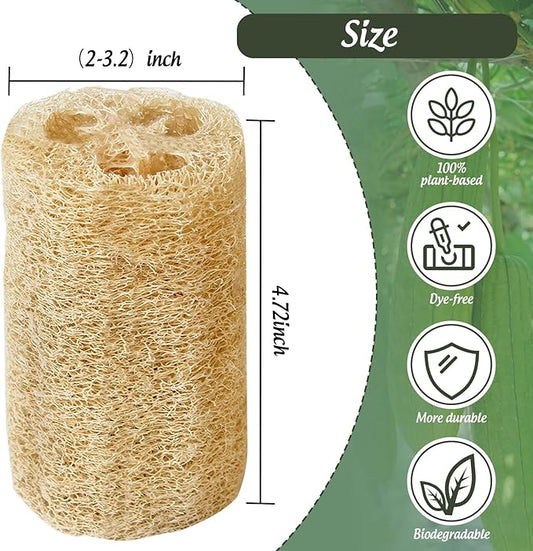 (Non-Vacuum Packed) Natural Loofah Sponge, 4pcs Loofah Vegetable Scrubber for Kitchen, Reusable Natural Dish Sponge for Cleaning and Shower Scrubbing, 4.72inch