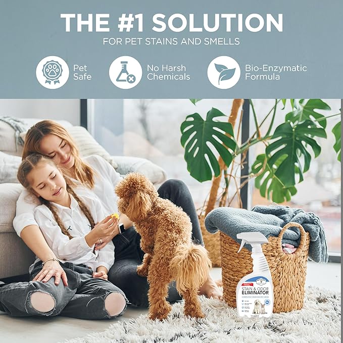 Professional Strength Pet Stain and Odor Eliminator Urine Odor Remover Pet Urine Enzyme Cleaner Enzymatic Cleaner for Dog Urine and Cat Urine Pet Odor Eliminator (32 oz.)