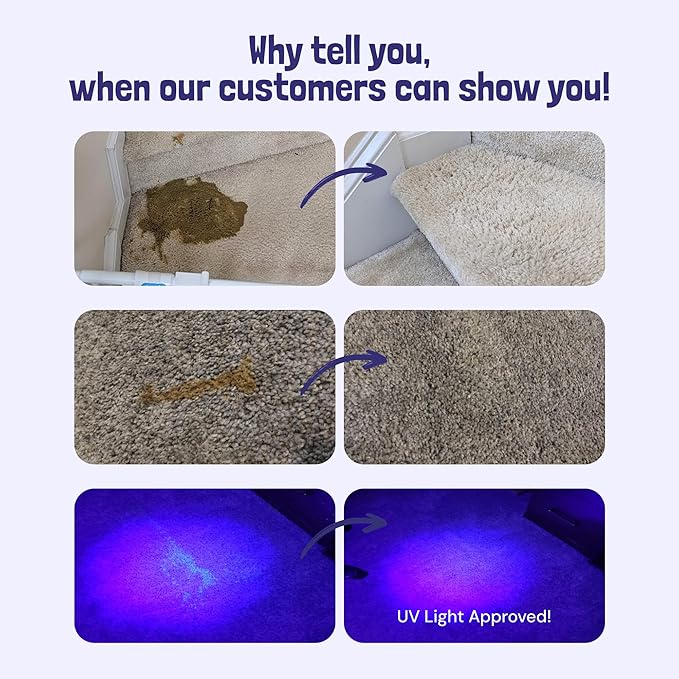 Sunny & Honey Pet Stain & Odor Miracle - 32 Fl Oz, Light Lavender Scent - Carpet Stain Remover & Urine Odor Eliminator - Upholstery Cleaner Spray - Enzyme Formula for Upholstery, Couch & Mattress