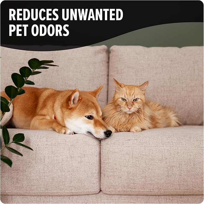 Dirt Devil Pet Carpet Powder, 32 oz, Room Refresher and Pet Odor Eliminator, Tropical Wind Scent, Vacuum Cleaner Safe, For Use on Carpets, Rugs, Upholstery and More, Carpet Freshener Powder for Home