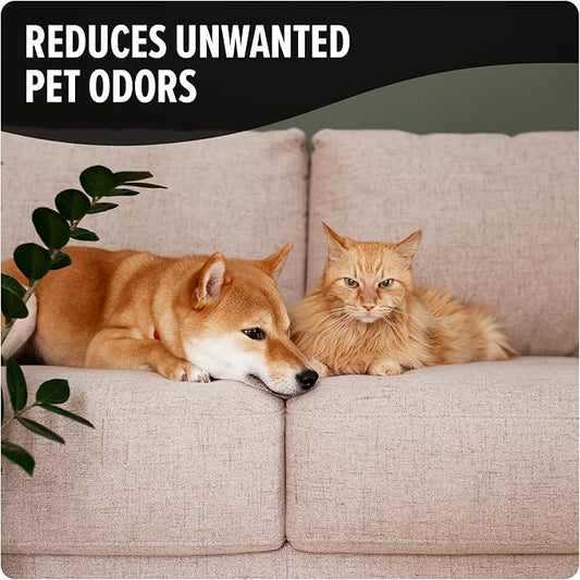 Dirt Devil Pet Carpet Powder, 32 oz, Room Refresher and Pet Odor Eliminator, Tropical Wind Scent, Vacuum Cleaner Safe, For Use on Carpets, Rugs, Upholstery and More, Carpet Freshener Powder for Home