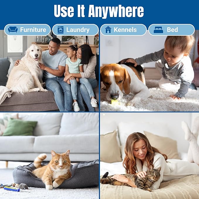 Carpet Cleaner and Deodorizer for Pets - Stain and Odor Treatment | Neutralizes Urine Stains and Eliminates Smell & Residue, Made in The USA - Biocelan Pet by Harvest and Home - 32 oz