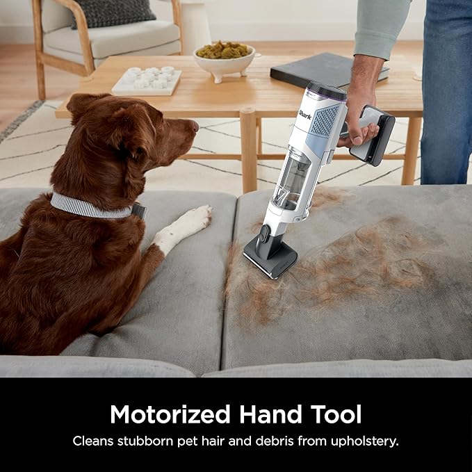 Shark Detect Clean & Empty | Lightweight Cordless Vacuum Cleaner with Auto-Empty System | HEPA Filter, Portable Handheld Attachment, Powerfins Brushroll | Cloudy Blue | IW4624