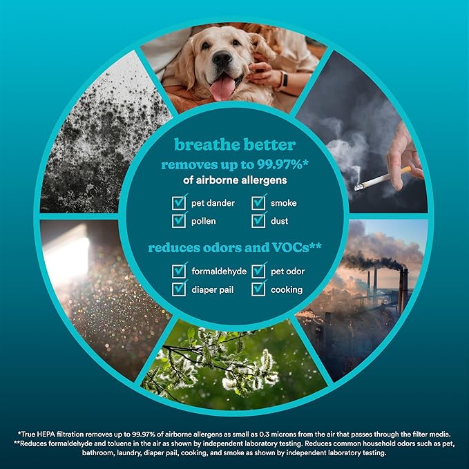 Homedics True HEPA Replacement Filter, Compatible with Homedics Air Purifier AP-C500, AP-C550, Dust Remover, Air Cleaner, Activated Carbon Filters, Remove Pet Odors, Household Odors, Airborne Allergen